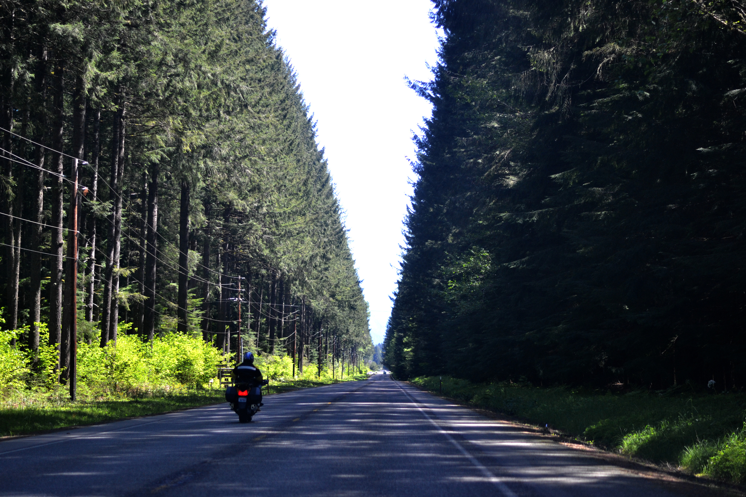 Roadtrippin' to Mount Rainier