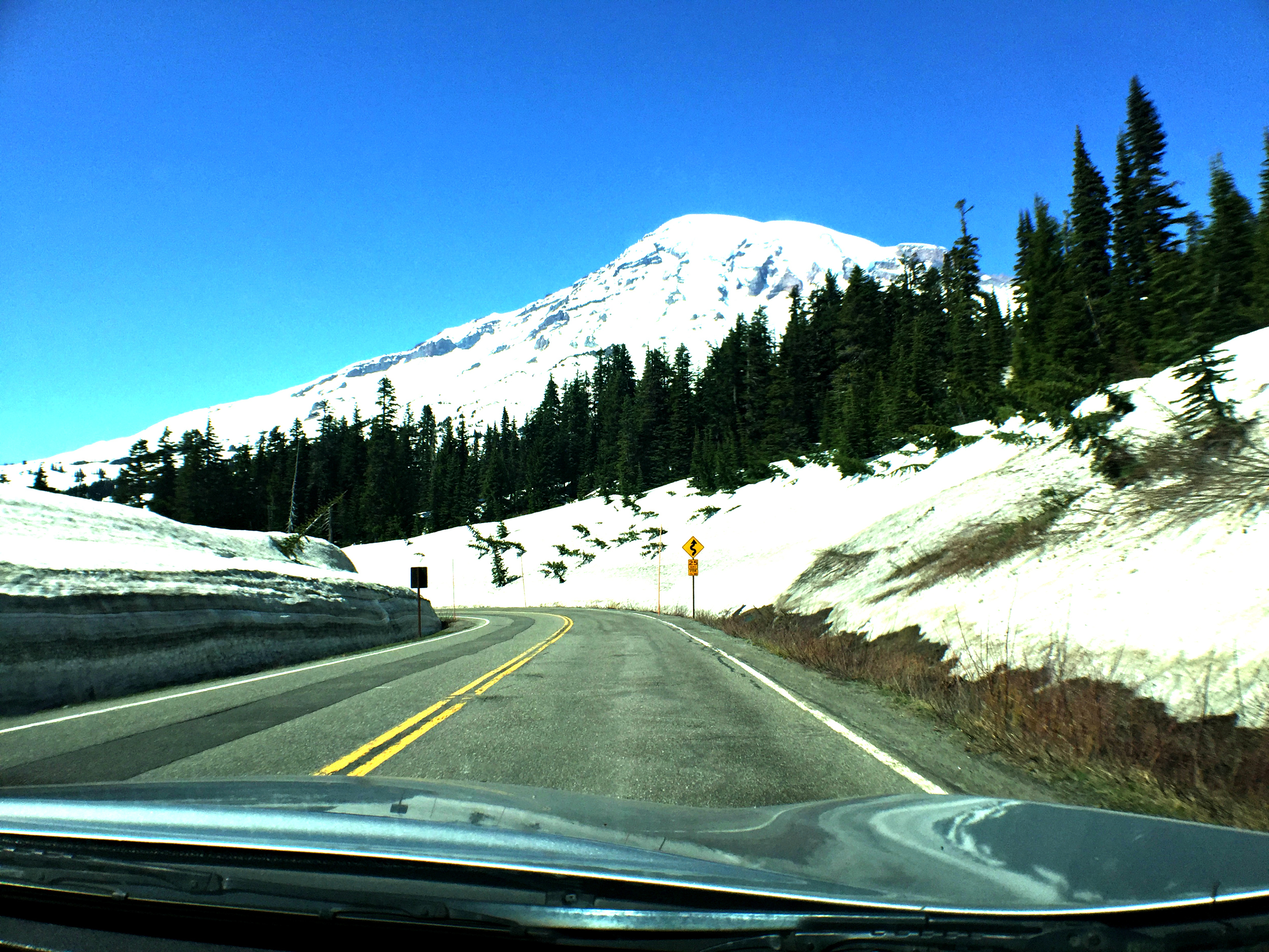 Nearing the top of Mount Rainier. Despite all the snow, it wasn't cold at all and I actually had on shorts. So crazy!